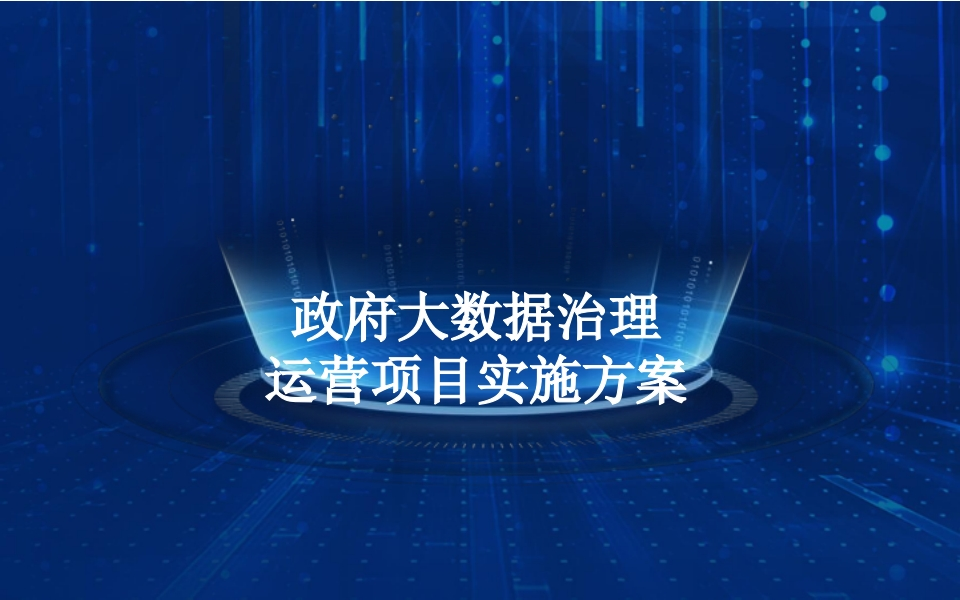政府大数据治理运营项目实施方案[41页PPT]